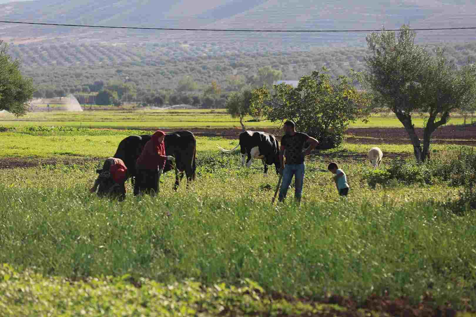 L’assurance indicielle agricole réduit les risques climatiques du secteur