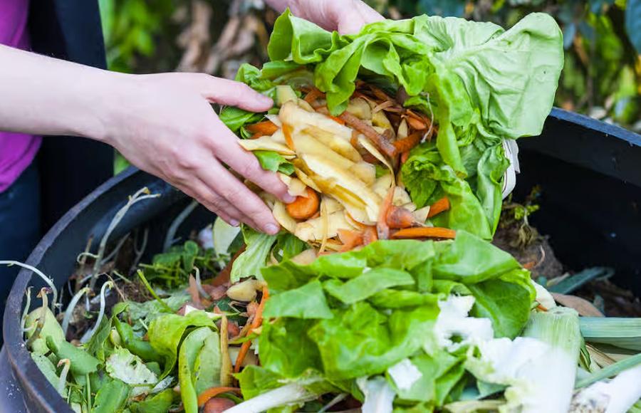 France, environnement : Compostage obligatoire à partir du 1er janvier 2024