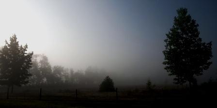 Tunisie – METEO : Brouillard en fin de nuit