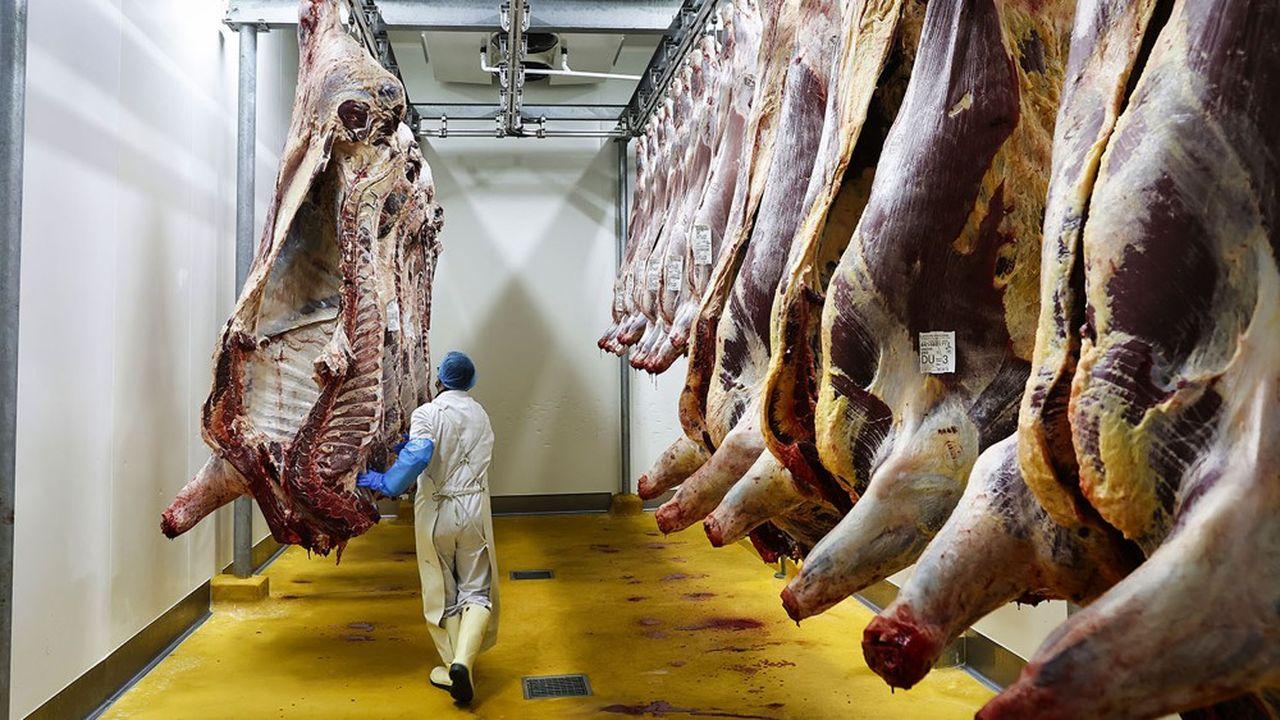 Sfax: Vers la résolution des problèmes des abattoirs