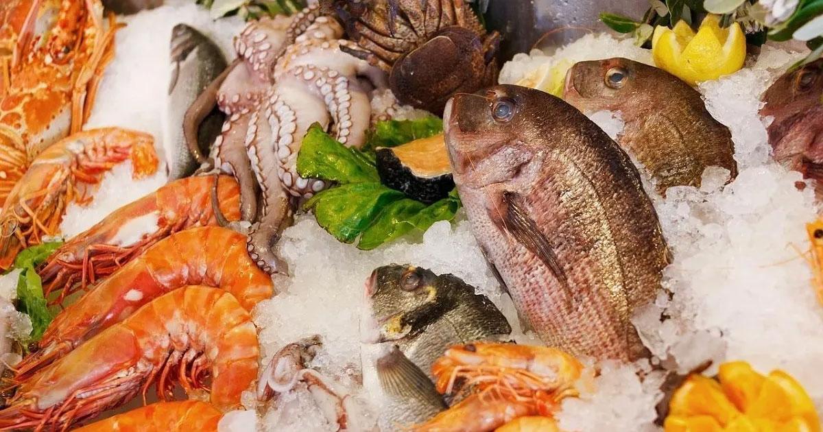 Tunisie-Produits de la pêche : La balance commerciale excédentaire de 286 MD
