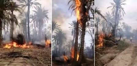 Tunisie – Gabès : Ils sont en train de brûler les oasis pour y planter du...