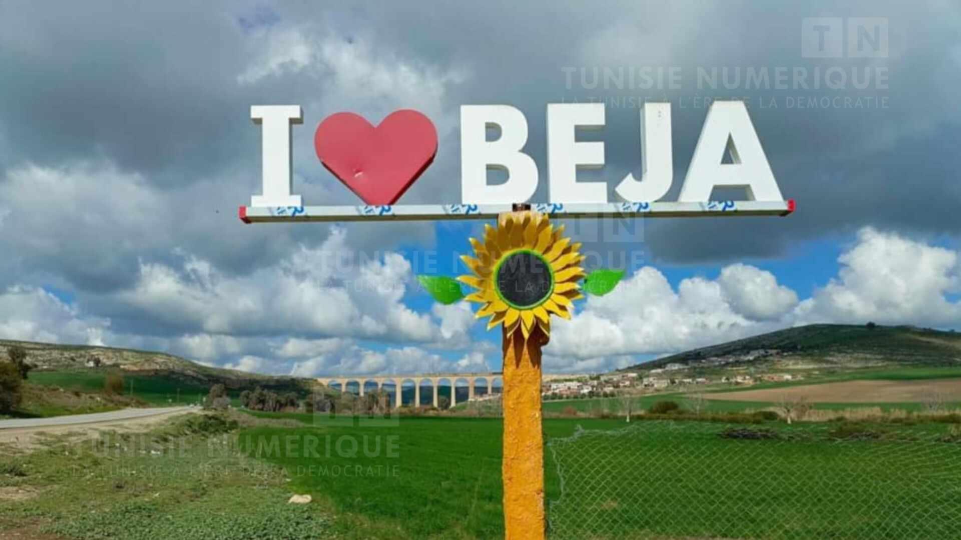 Le ministre de l’Agriculture en visite de travail au gouvernorat de Béja