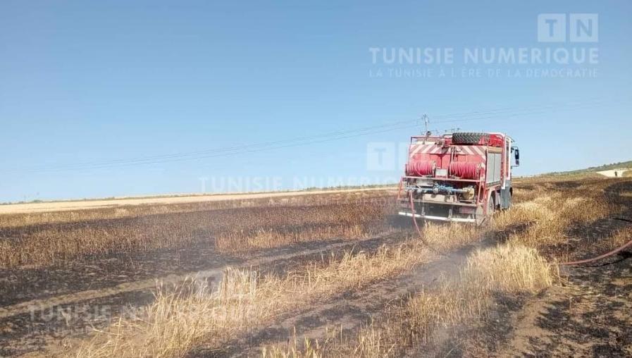 Un incendie ravage 3 hectares d’orge à Siliana [Photos]