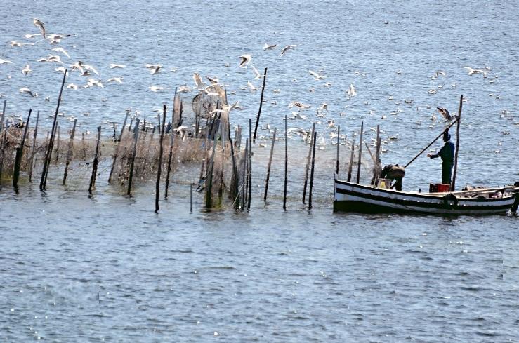 L’économie bleue en Tunisie : Navigation vers un avenir durable