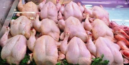 Tunisie – Légère augmentation de la production de poulet de chair