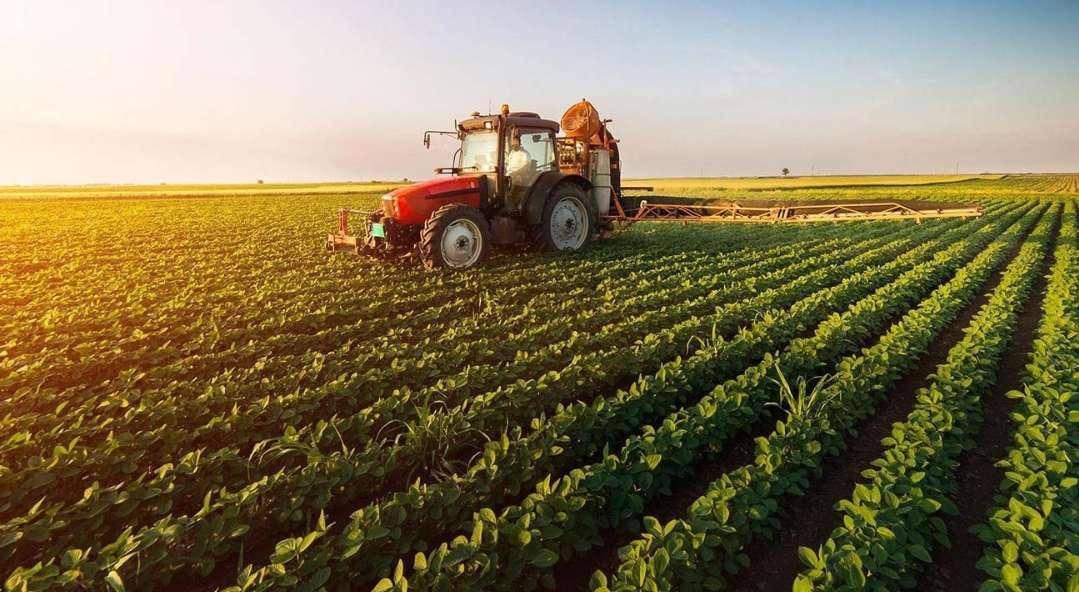 Analyse du tableau de bord de l’agriculture tunisienne au 1er semestre 2024