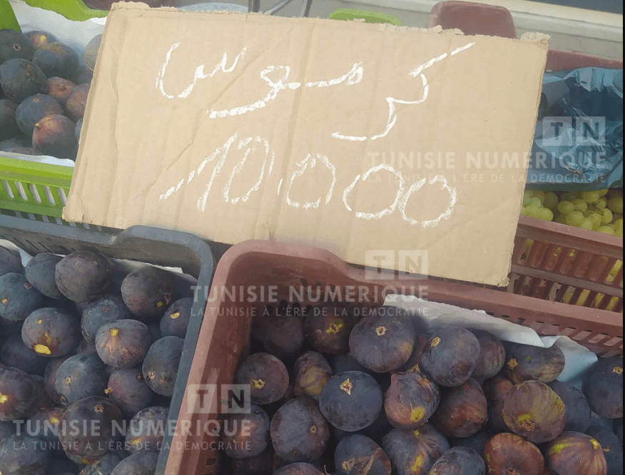 Nabeul: Les figues vendues à 10 DT/Kg [Vidéo+Photos]