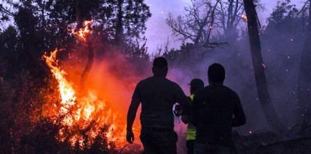 Tunisie – Tabarka : Une personne blessée dans un incendie de forêt