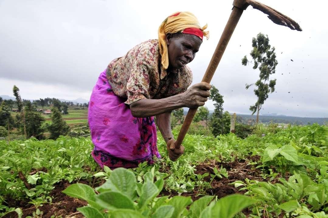 La BAD innove pour l’autonomisation des femmes africaines