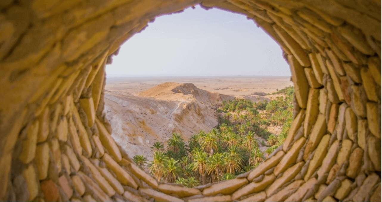 L’économie circulaire et le recyclage en Tunisie : un potentiel inexploité