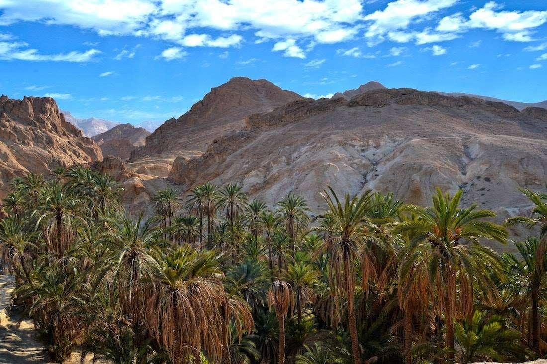 Résilience climatique : Un soutien de 55,7 millions d’euros pour la Tunisie