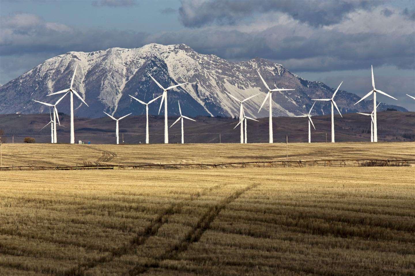 Energies propres : Plus de 100 organisations demandent plus de mobilisation