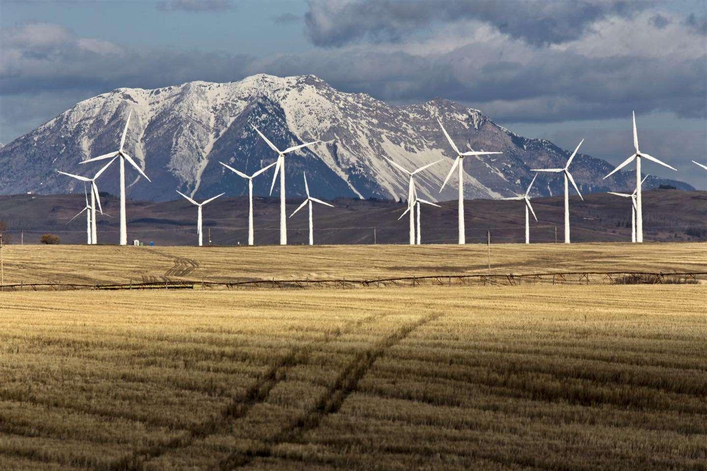 Energies propres : Plus de 100 organisations demandent plus de mobilisation