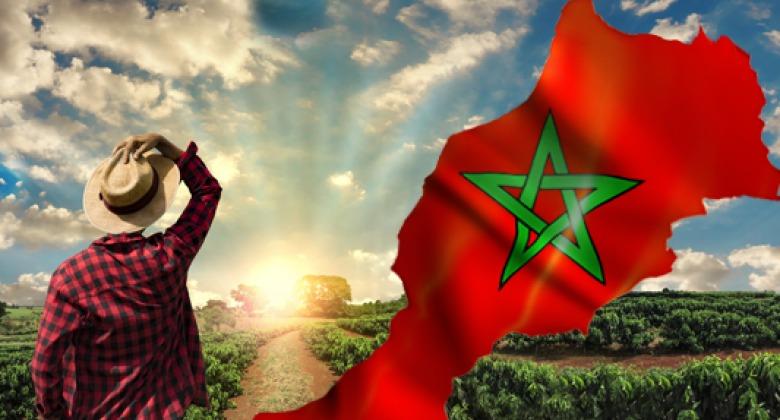 Maroc : Fitch confirme les rapports du FMI et RMB, la croissance doublera presque, dopée...