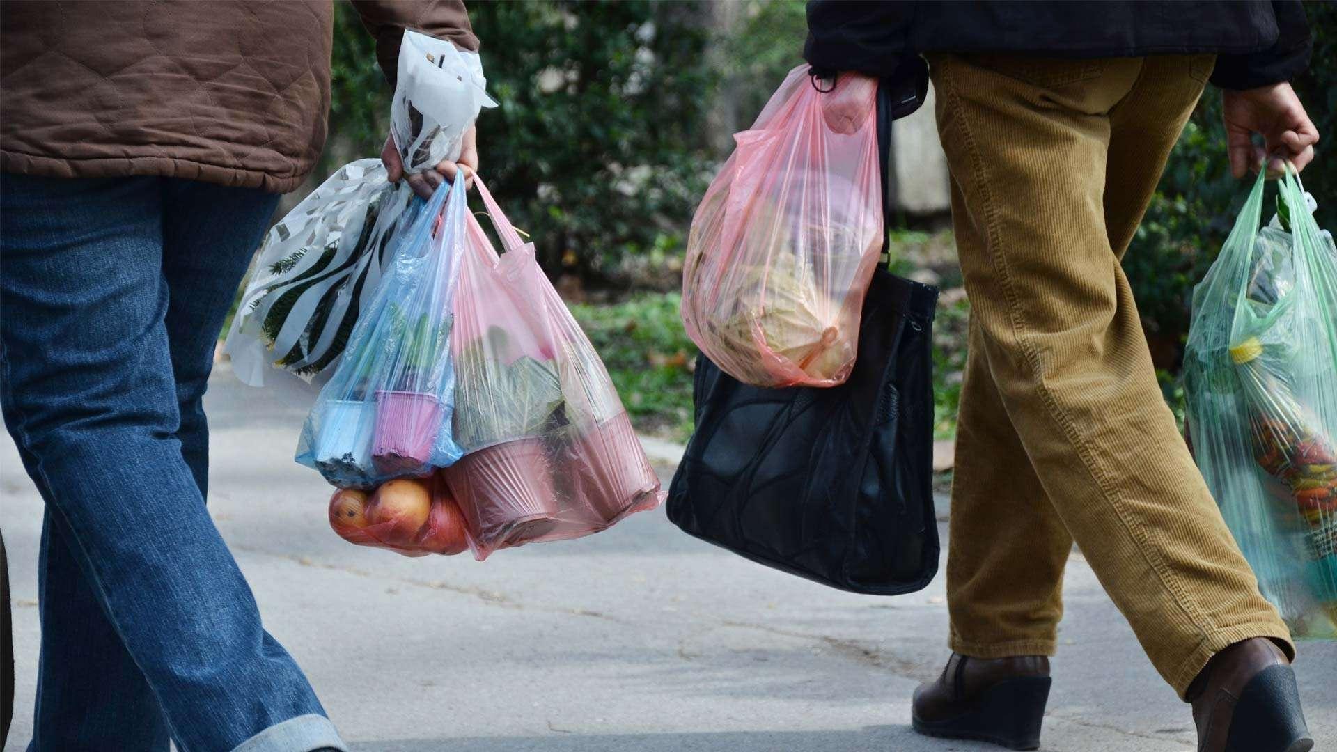 Quand le moratoire sur les plastiques à usage unique entrera-t-il en vigueur ?