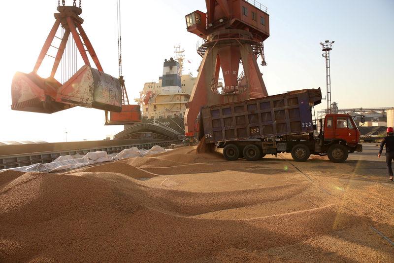 125 000 tonnes d’orge fourragère, achetées au prix le plus bas