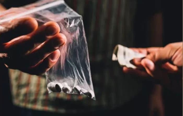 Trafic de drogue: Arrestation de 26 individus recherchés dans une large campagne sécuritaire