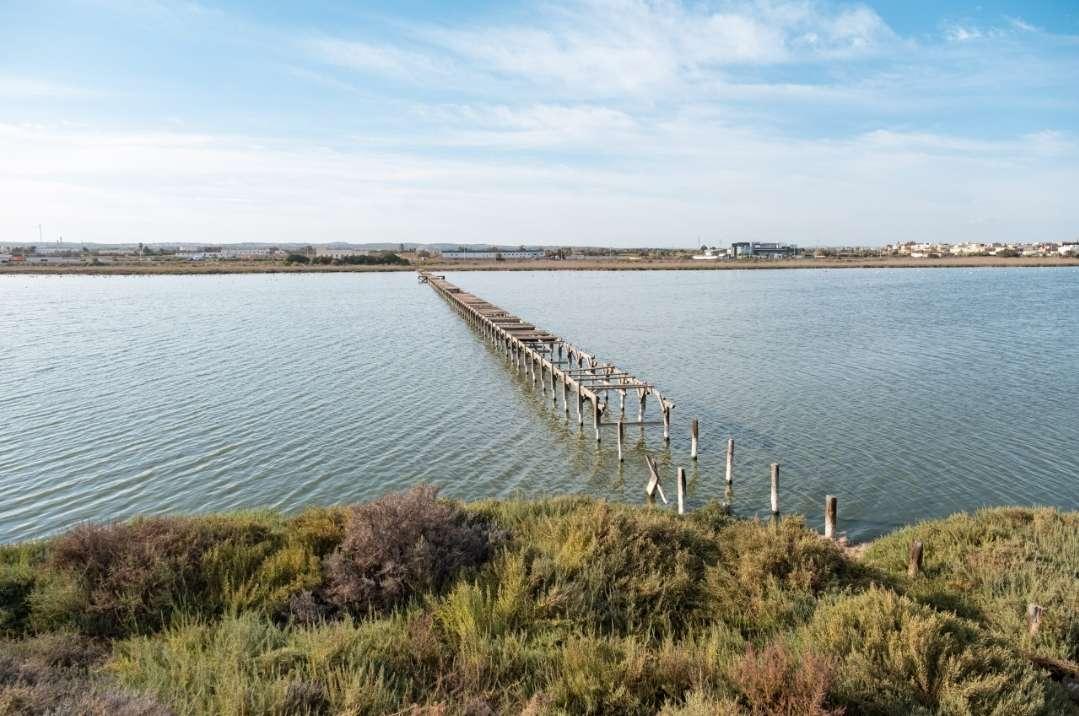 La Biodiversité en Tunisie : Socle du développement durable