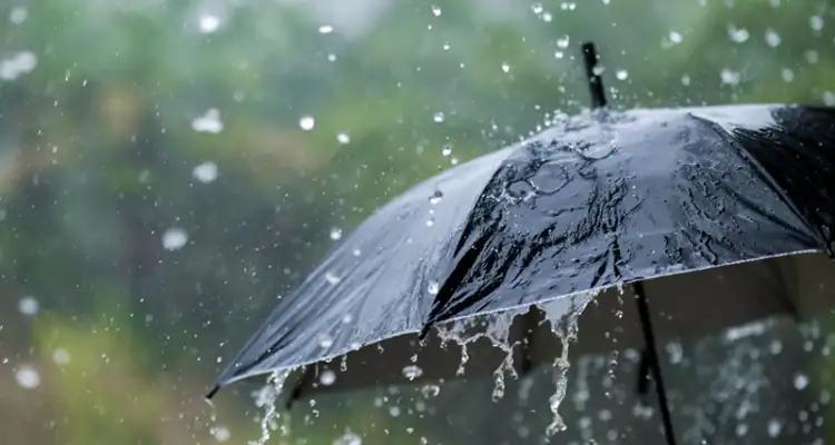 Mai 2025 : Des pluies plus fortes que la normale prévues en Tunisie