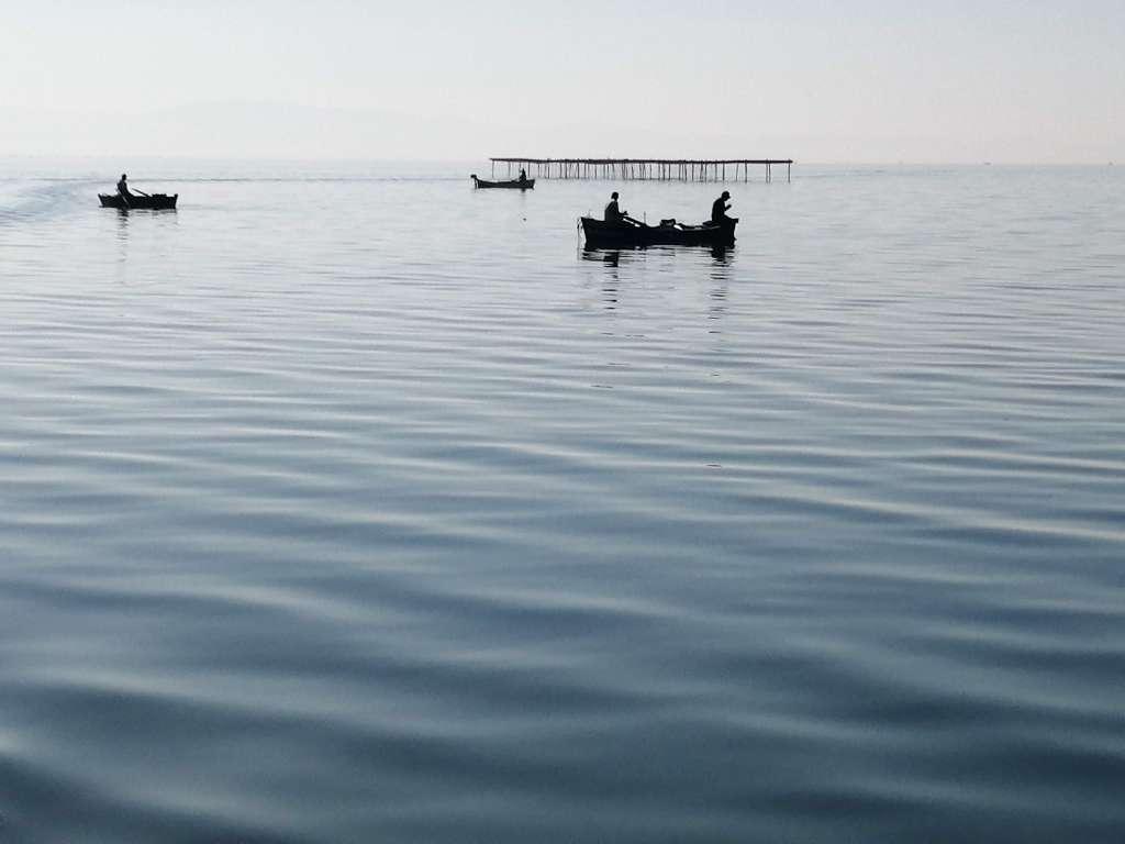 La Tunisie met en valeur le secteur de l’aquaculture et de la pêche à l’international