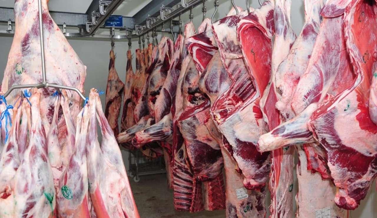 viandes rouges : 3 ministères unissent leurs efforts pour développer le secteur