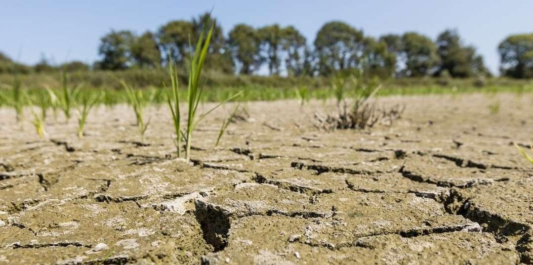 La dette climatique des pays riches envers l’Afrique estimée à 36 000 milliards de dollars...