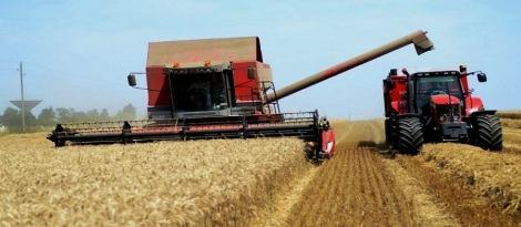 Tunisie – Agriculture : Programme spécial pour assurer une saison de moissons réussie