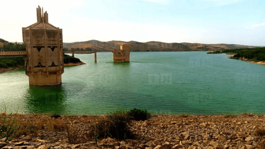 Béja: Campagne de nettoyage du barrage de Sidi Salem et appel à la vigilance des...