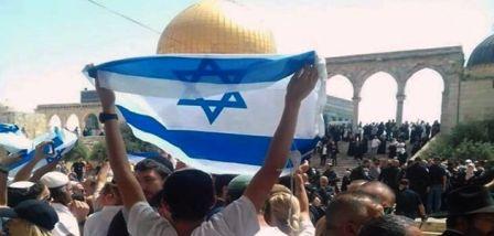 Des colons juifs investissent Al Aqsa et insultent les arabes les musulmans et leur prophète