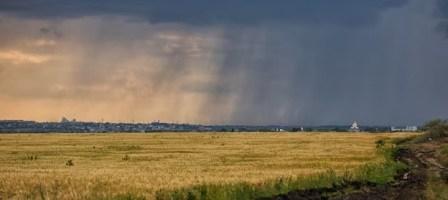 Tunisie – METEO : Des pluies attendues pour la mi-mai