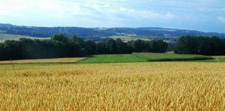 Tunisie – Projet de loi permettant la session de terres domaniales agricoles au profit des...