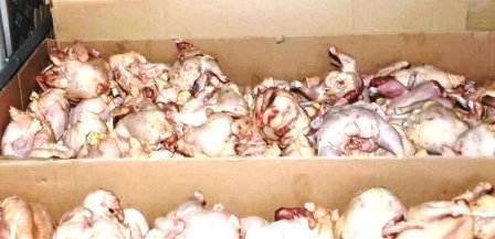 Tunisie – Sousse : Saisie de près d’une tonne de viande de volaille impropre à la...