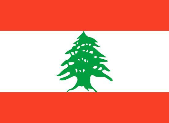 Sud-Liban : Israël lance des raids terrestres contre le Hezbollah