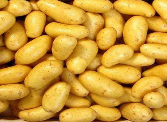 Le ministère du Commerce fixe les prix maximaux de la pomme de terre