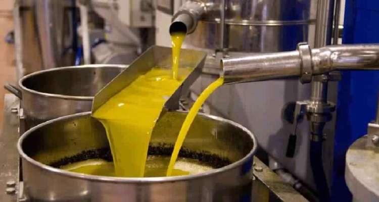 La production nationale d’huile d’olive en baisse de 25%