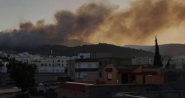 L’incendie de la forêt du Parc Ennahli a ravagé 16 hectares