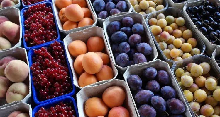 Tunisie : Les exportations de fruits en régression de 22,1%