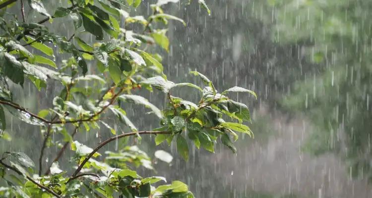 Pluies attendues sur le centre et le sud de la Tunisie