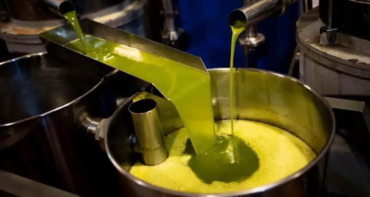 Huile d’olive : La Tunisie table sur une production de 340.000 tonnes en 2024-2025