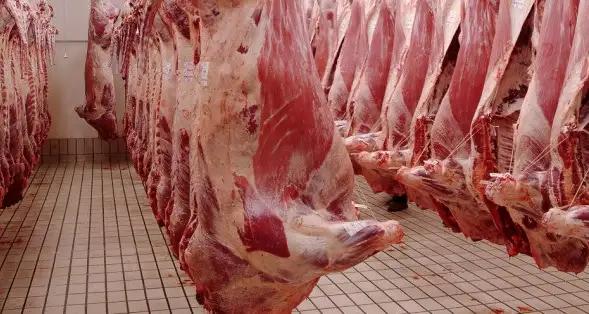 Tunisie : La viande d’agneau à 35 dinars durant le Ramadan