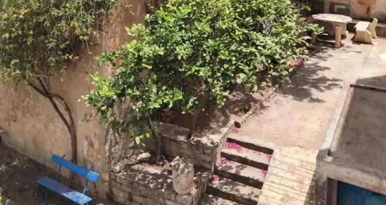Tunisie - Snapshot : Un jardin serein dans le faubourg sud de Tunis