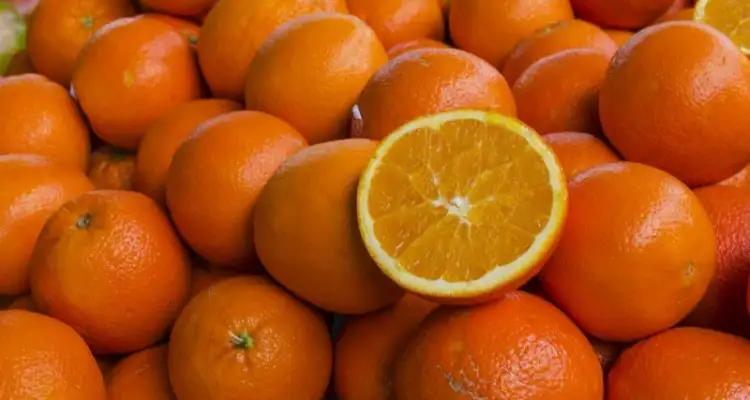 Exportations d’agrumes : La Tunisie enregistre une croissance de 46%