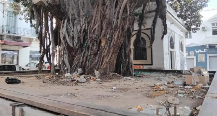 Tunis : Des arbres centenaires et la crasse tout autour