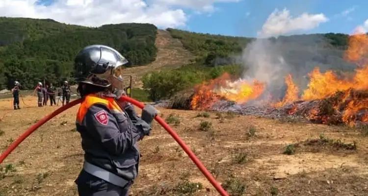 Tunisie : Trois incendies se déclarent à Béja