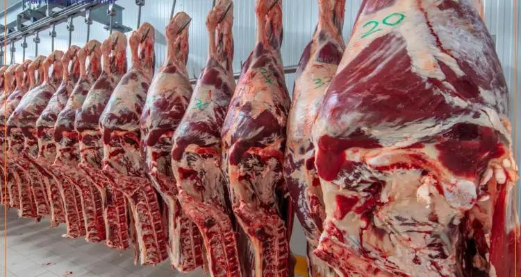 La Tunisie importe de la viande réfrigérée pour juguler les prix