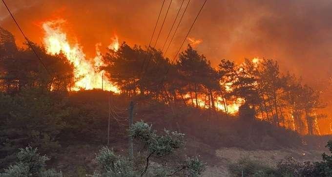 Un incendie s'est déclaré au Mont Ballouta (Siliana)