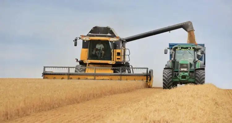 نابل: تقدم موسم حصاد الحبوب بنسبة 90% [فيديو]‎