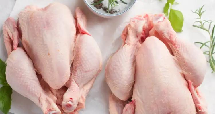 Tunisie : Pénurie de viande de poulet ? Les chiffres confirment une offre suffisante