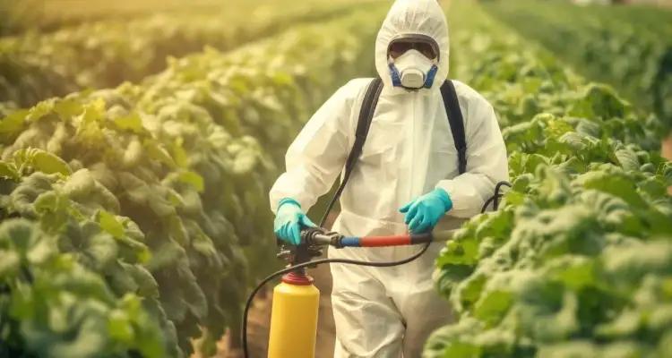 Tunisie : l'Union des agriculteurs dénonce le manque de contrôle des pesticides